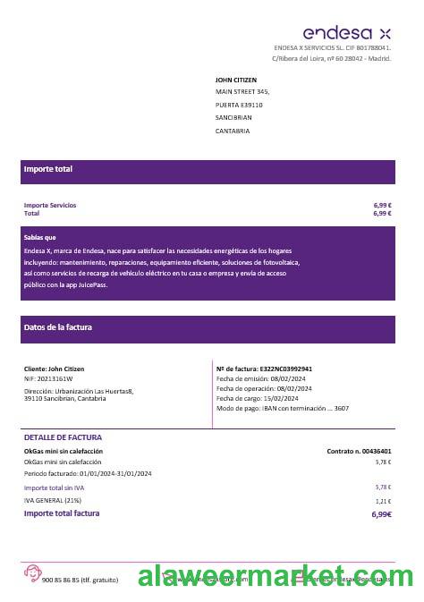 Spain Barcelona endesa X electricity  utility bill Word and PDF formats